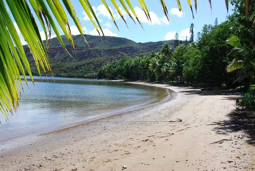 04.11- La baie de la tortue.JPG